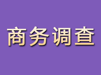 正宁商务调查